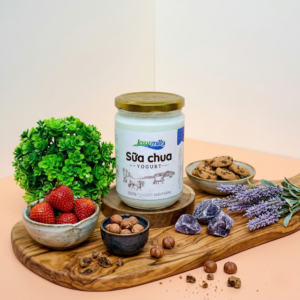 YOGURT IN A GLASS JAR 500G